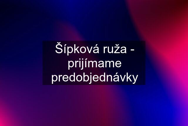 Šípková ruža - prijímame predobjednávky