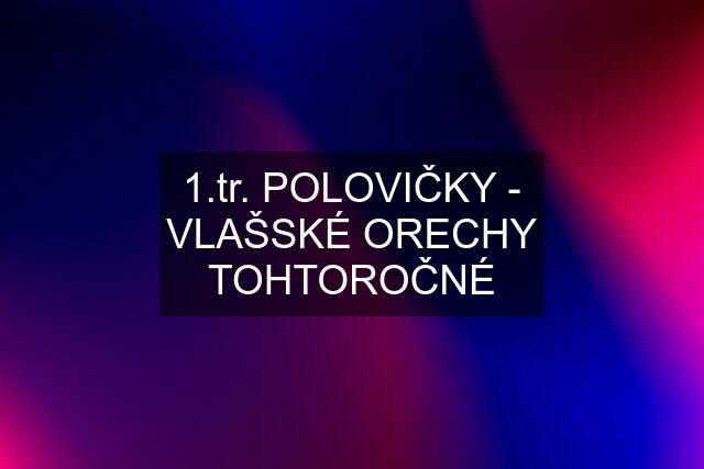 . POLOVIČKY - VLAŠSKÉ ORECHY TOHTOROČNÉ