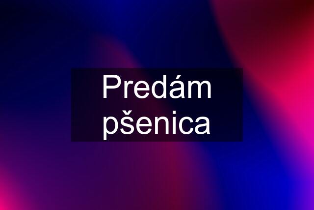 Predám pšenica