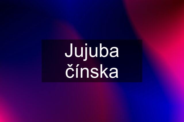 Jujuba čínska