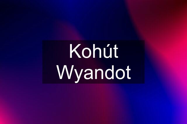 Kohút Wyandot