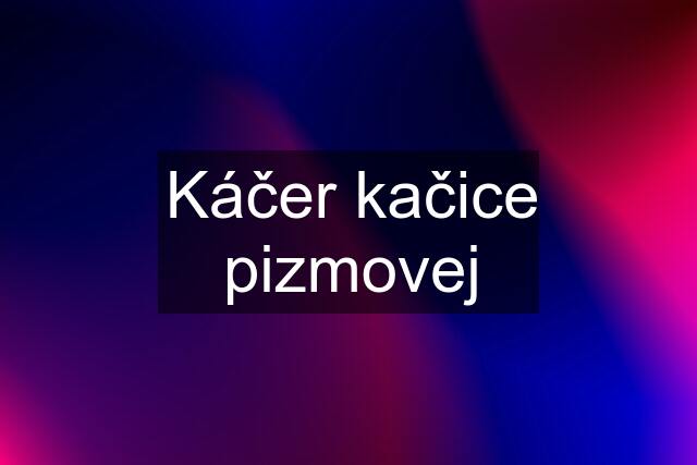 Káčer kačice pizmovej