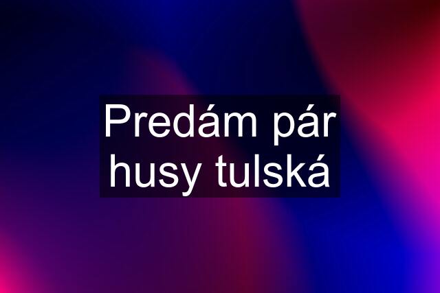 Predám pár husy tulská