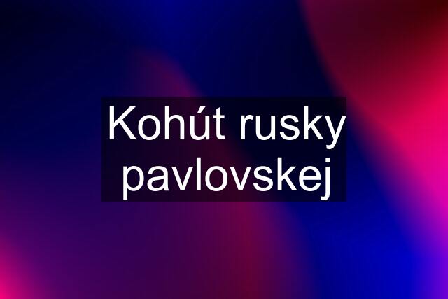 Kohút rusky pavlovskej