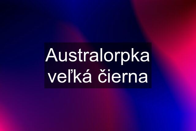 Australorpka veľká čierna