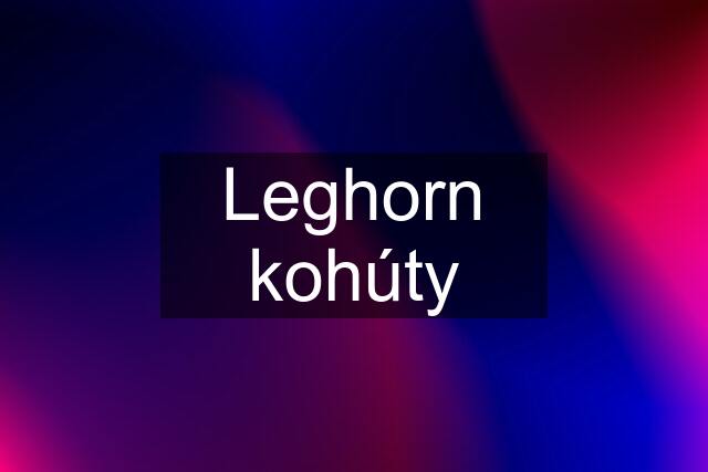 Leghorn kohúty