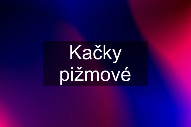 Kačky pižmové