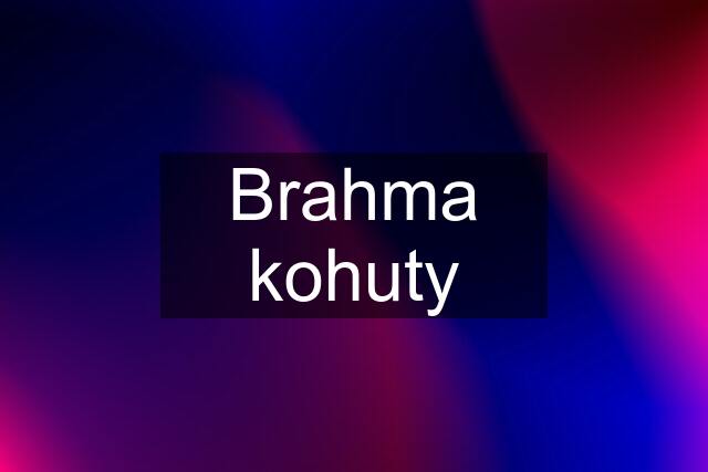 Brahma kohuty