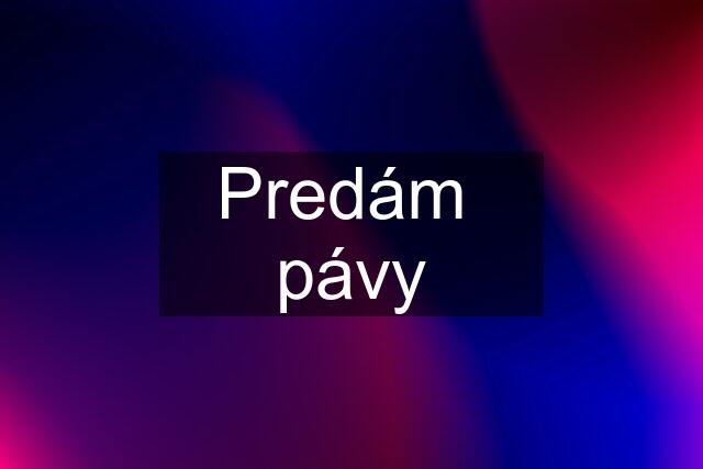 Predám  pávy