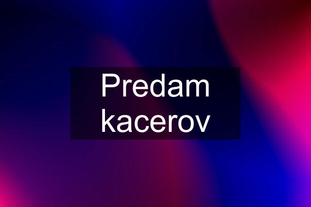 Predam kacerov