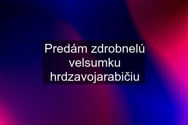 Predám zdrobnelú velsumku hrdzavojarabičiu