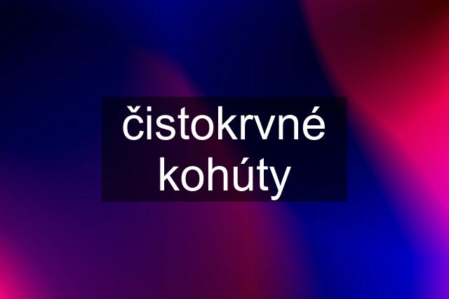 čistokrvné kohúty