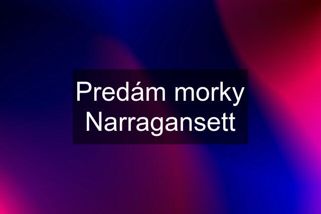 Predám morky Narragansett