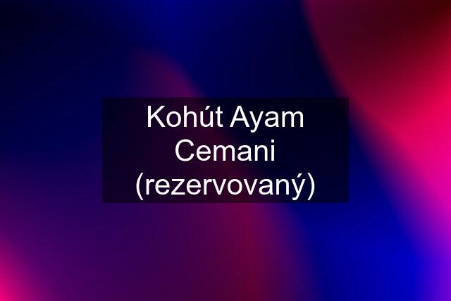 Kohút Ayam Cemani (rezervovaný)