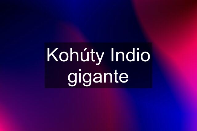 Kohúty Indio gigante