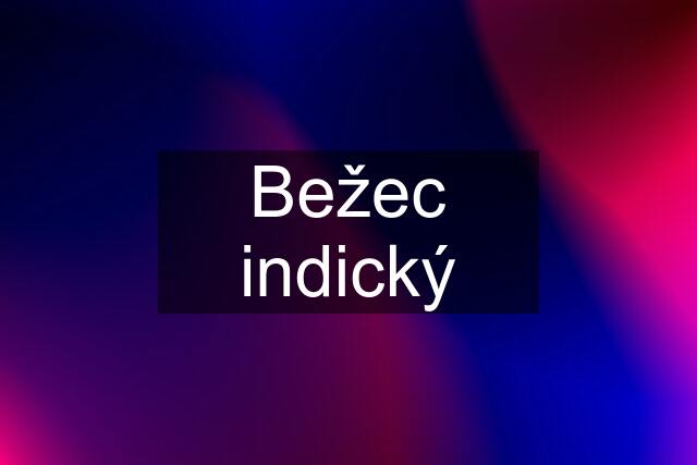 Bežec indický