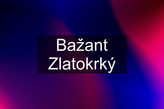 Bažant Zlatokrký