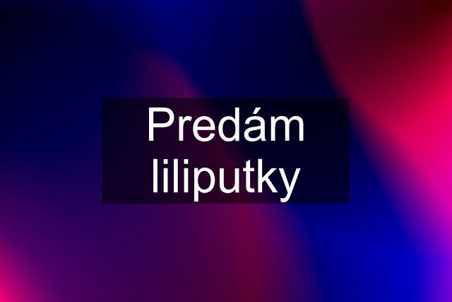 Predám liliputky