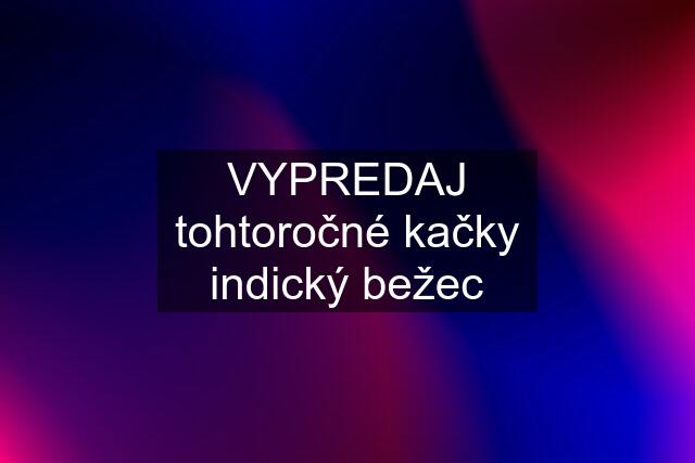 VYPREDAJ tohtoročné kačky indický bežec