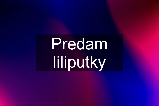 Predam liliputky