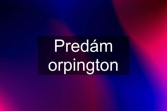 Predám orpington