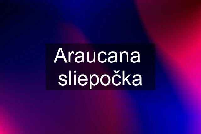 Araucana  sliepočka