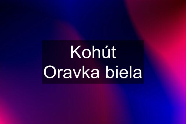 Kohút Oravka biela