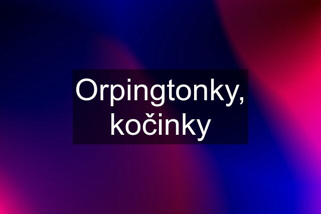 Orpingtonky, kočinky