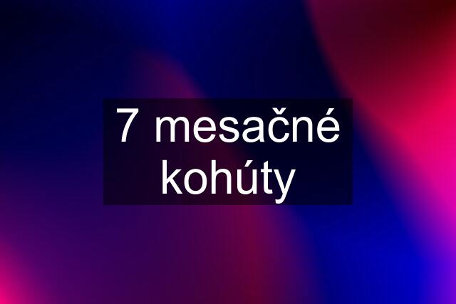 7 mesačné kohúty