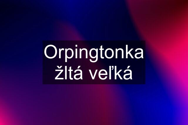 Orpingtonka žltá veľká