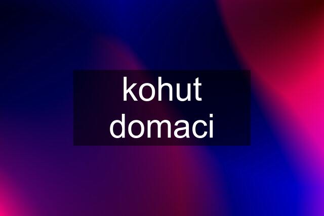 kohut domaci