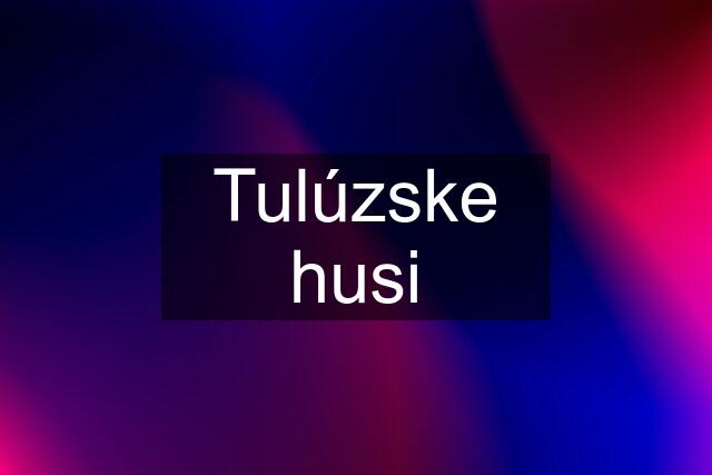 Tulúzske husi