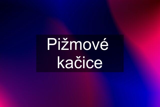 Pižmové  kačice