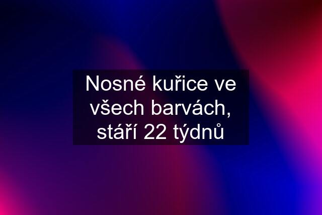 Nosné kuřice ve všech barvách, stáří 22 týdnů