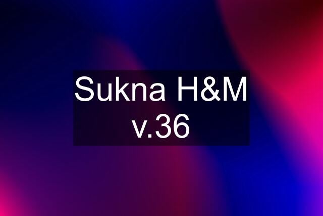 Sukna H&M v.36