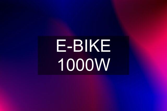 E-BIKE 1000W