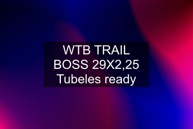 WTB TRAIL BOSS 29X2,25 Tubeles ready