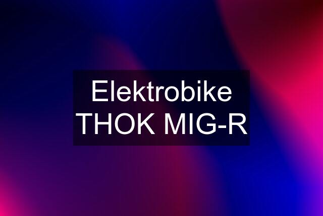 Elektrobike THOK MIG-R