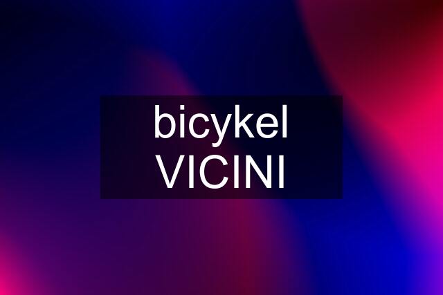 bicykel VICINI