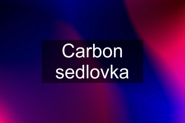 Carbon sedlovka