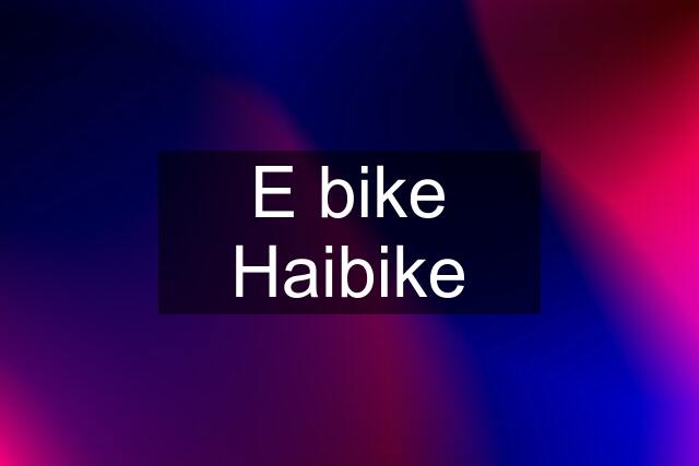 E bike Haibike