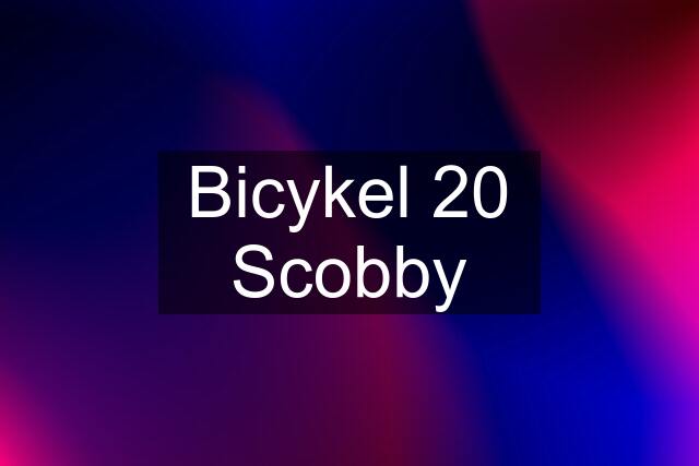 Bicykel 20 Scobby