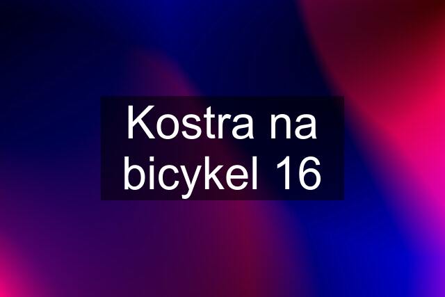 Kostra na bicykel 16