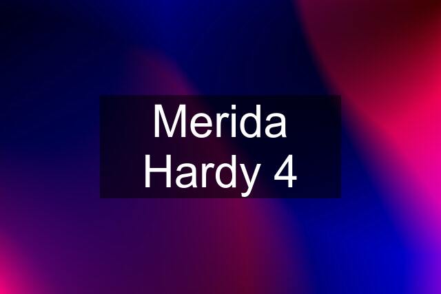 Merida Hardy 4