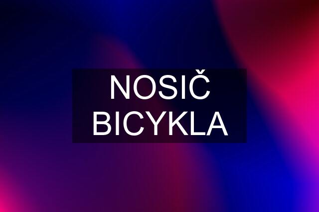 NOSIČ BICYKLA