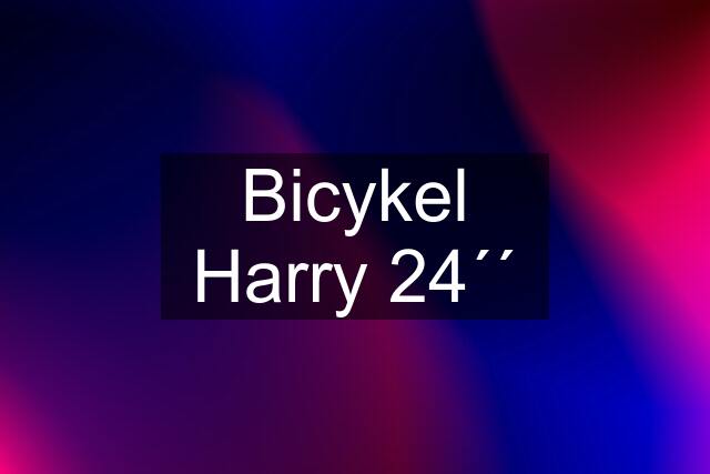 Bicykel Harry 24´´