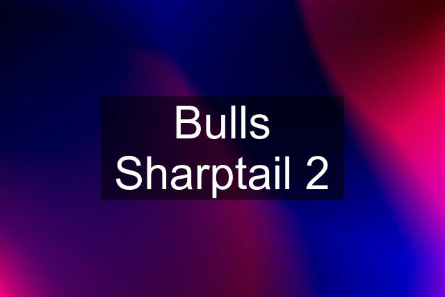 Bulls Sharptail 2