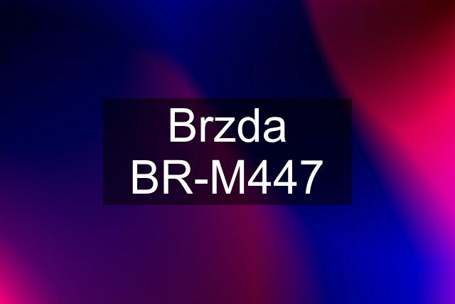 Brzda BR-M447