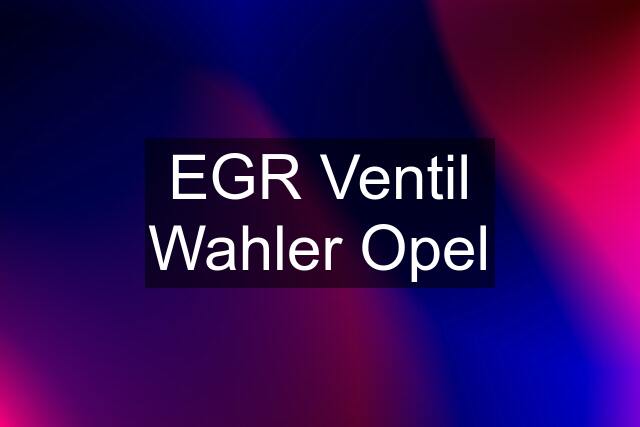 EGR Ventil Wahler Opel