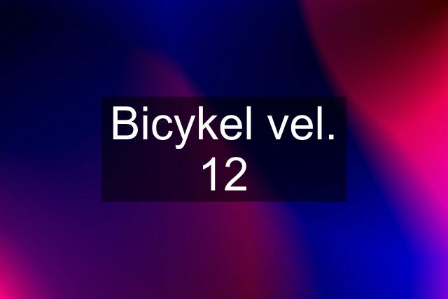 Bicykel vel. 12